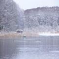 Zeesener Badestelle im Winter (tn_100_4002.jpg) Zeesner See im Landkreis Dahme Spreewald